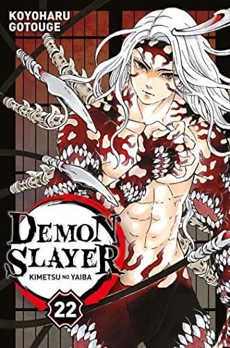 Demon slayer : 22